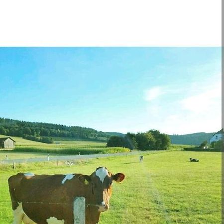 4 Erw. 1 Ki. Ski Entspannung Terasse Ausblick Schmallenberg Buitenkant foto