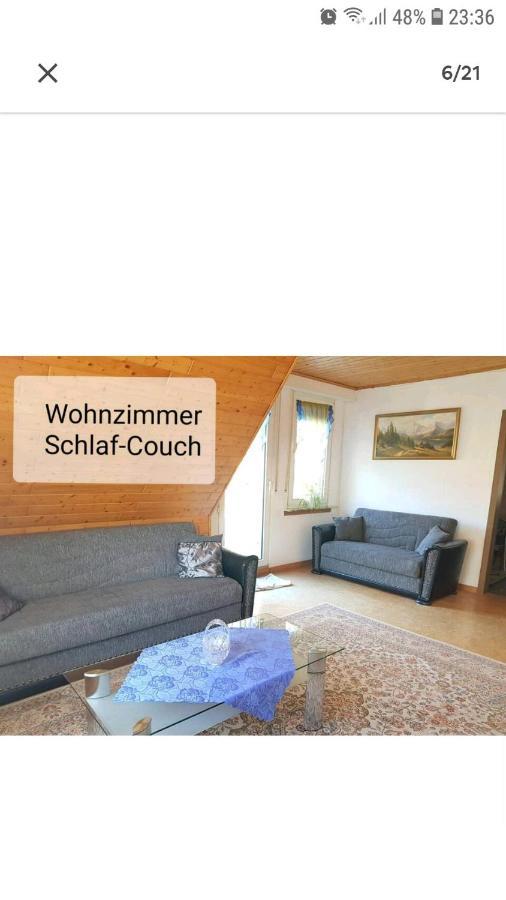 4 Erw. 1 Ki. Ski Entspannung Terasse Ausblick Schmallenberg Buitenkant foto